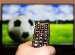 利比亚发现,两处乱葬坑,埋葬数十人,最佳博彩平台,在线博彩,高赔率博彩,真人赌场,体育博彩,顶级博彩平台,博彩平台推荐